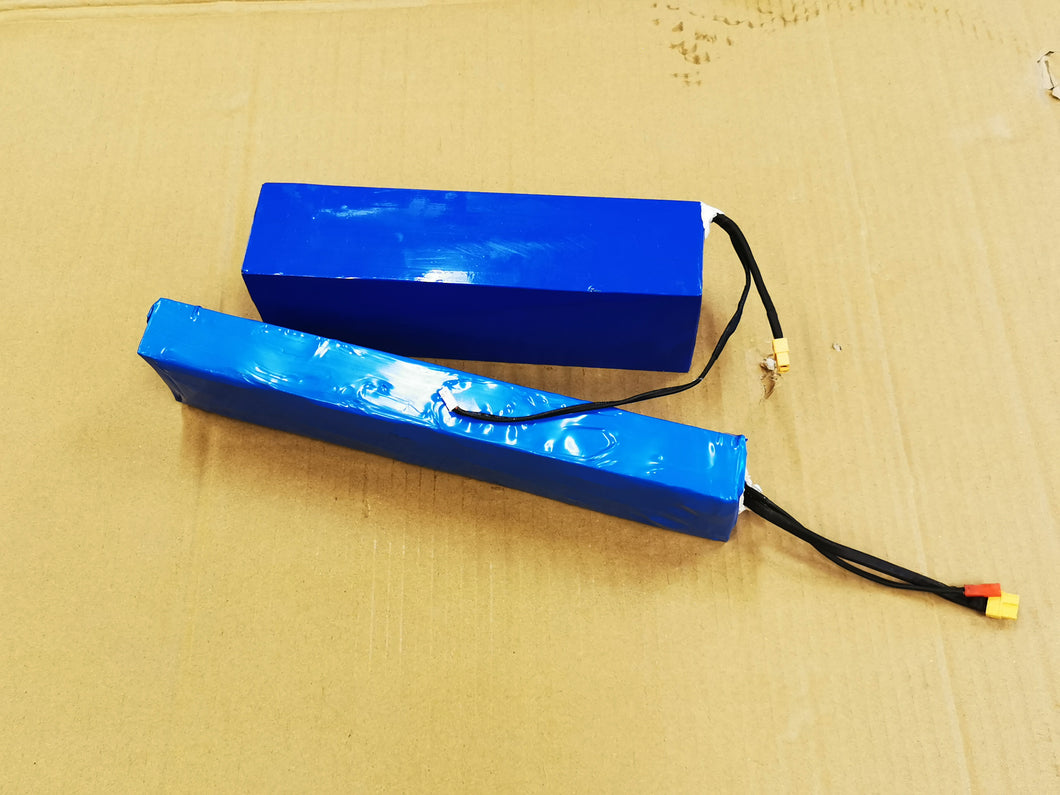 Scooter Battery